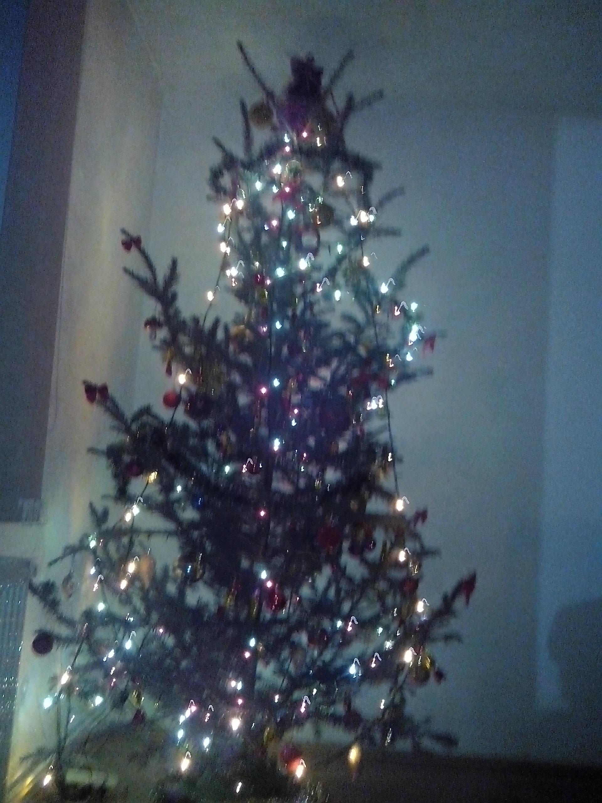 in asteptarea mosului - img201312212022561507615844.jpg